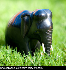 Photo of a carved ebony elephant