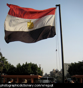 Photo of the Egyptian flag