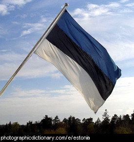 Photo of the Estonian flag