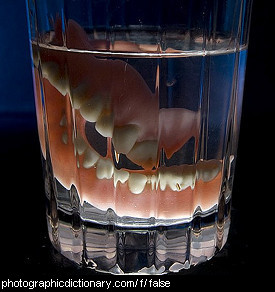 Photo of false teeth