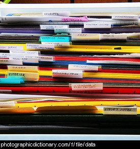 Photo of files