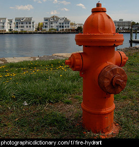 Photo of a fire hydrant