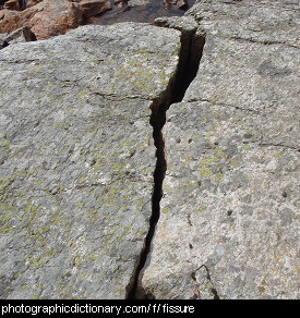 Photo of a fissure in some rocks