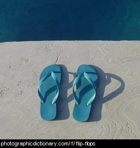 Photo of flipflops