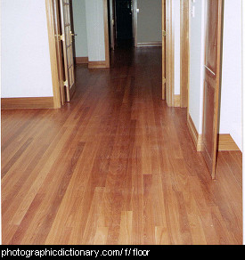 Photo of a timber floor.