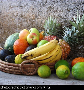 Photo of fruit.