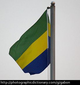 The flag of Gabon.
