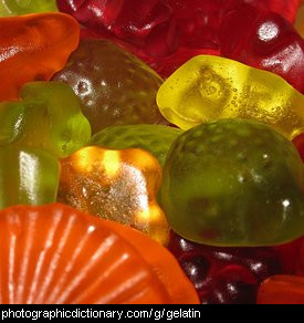 Photo of gelatin lollies