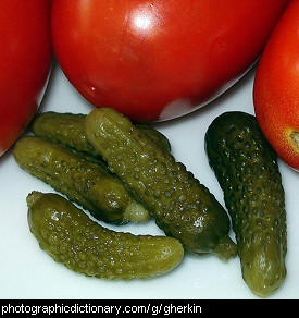 Photo of gherkins and tomatoes.