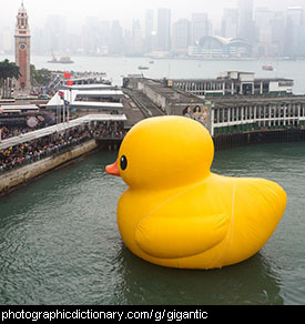 Photo of a gigantic rubber duck