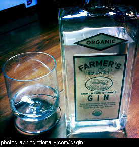 Photo of gin