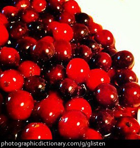 Photo of glistening cranberries