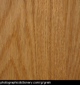 Photo of wood grain