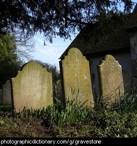 Photo of gravestones