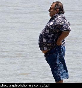 Photo of a man with a beer gut