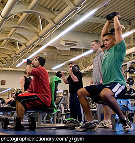 Photo of men in a gymnasium