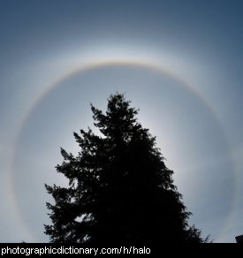 Photo of a halo
