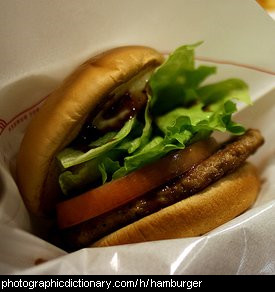 Photo of a hamburger