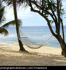 Photo of a hammock between two trees.