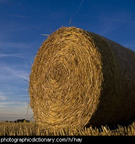 Photo of a bale of hay