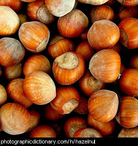 Photo of some hazelnuts