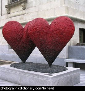 Photo of a heart shape