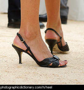 Photo of a woman in heels.