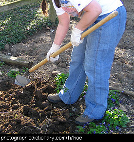 Photo of a woman hoeing