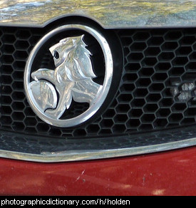 Photo of a Holden badge