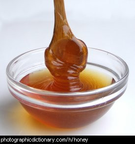 Photo of drizzling honey