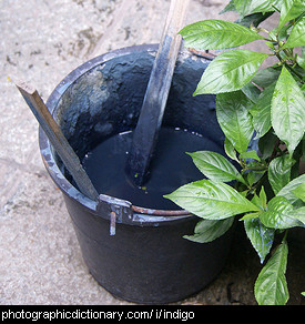Photo of a bucket of indigo dye