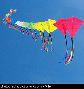 Photo of some kites