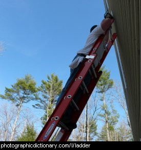 Photo of a man on a ladder