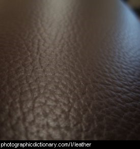 Photo of leather