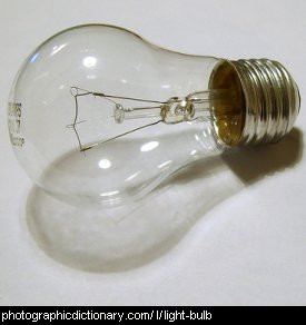 Photo of a lightbulb