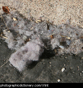 Photo of lint