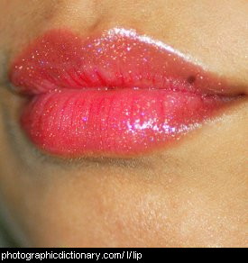 Photo of a woman's lips
