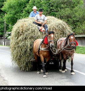 Photo of a load of hay