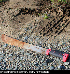 Photo of a machete