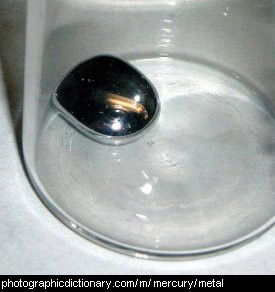 Photo of liquid mercury
