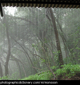 Photo of monsoon rains