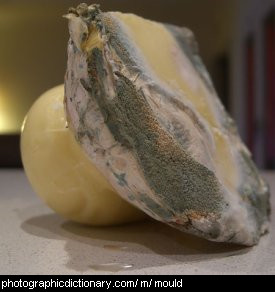 Photo of mouldy cheese