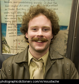 Photo of a man with a moustache