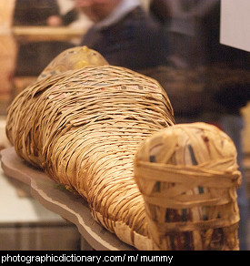 Photo of a mummy