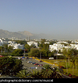 Photo of Muscat, Oman