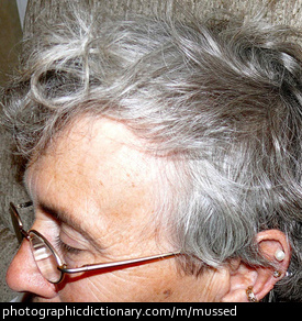 Photo of someone with mussed hair