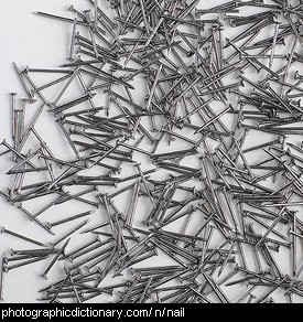 Photo of some nails