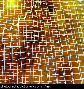 Photo of a net