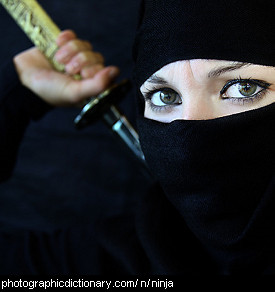 Photo of someone dressed as a ninja
