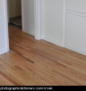 Photo of an oak floor